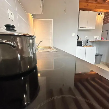 S Bayleved'air Duplex Vue Chateau, Balneo Et Sauna Lejlighed *