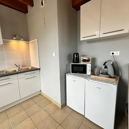 S Bayleved'air Duplex Vue Chateau, Balneo Et Sauna Appartement *